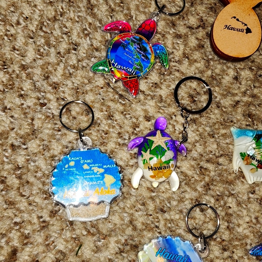 Hawaii Keychains - Picture 4 of 9